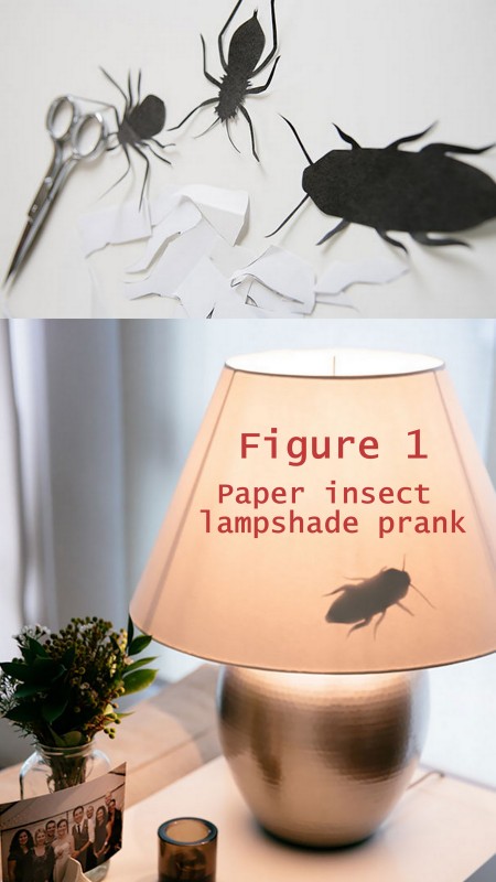 Insect lamp